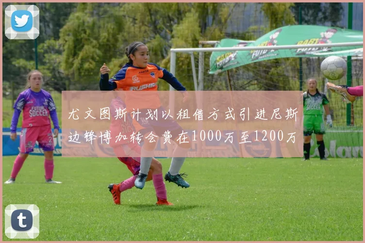 尤文图斯计划以租借方式引进尼斯边锋博加转会费在1000万至1200万欧元之间