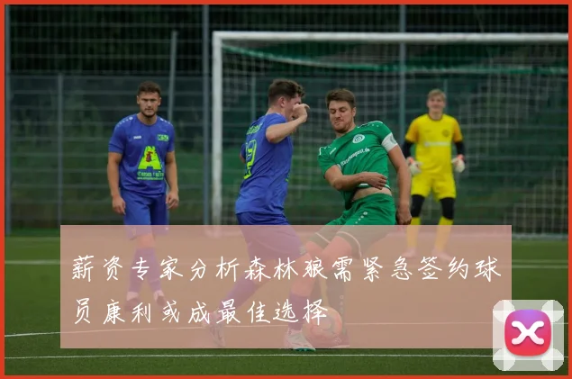 薪资专家分析森林狼需紧急签约球员康利或成最佳选择