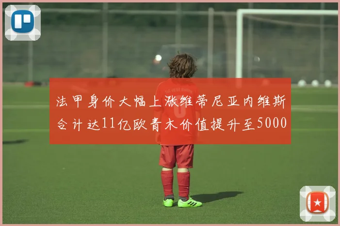 法甲身价大幅上涨维蒂尼亚内维斯合计达11亿欧青木价值提升至5000万